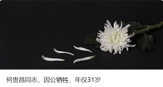 皇冠信用最新地址_广东：全省各地各部门迅速进入临战状态