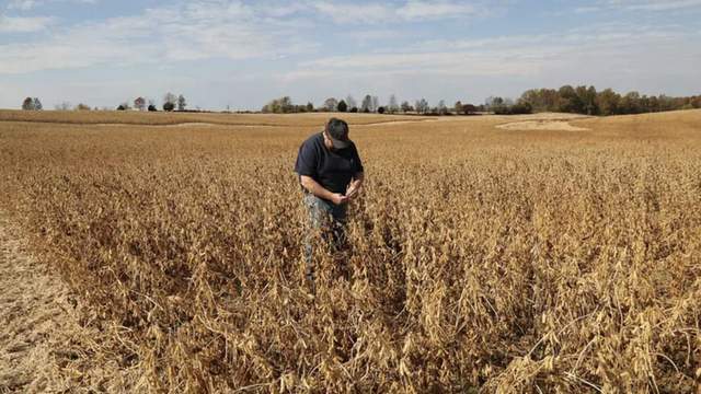 皇冠信用网
_中国采购800万吨美国大豆皇冠信用网
,美媒争相“报喜”,实则中美角色已互换