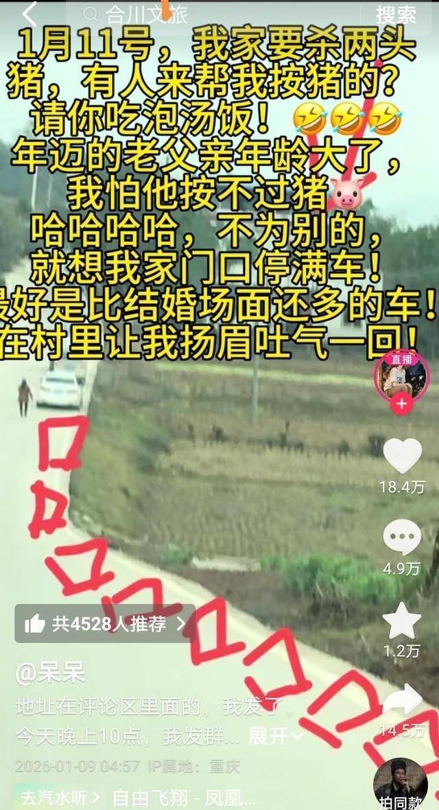 皇冠b盘
_两头猪何以引发全网狂欢皇冠b盘
?丨顶端观察