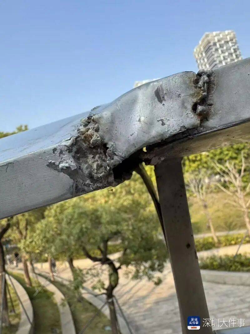 世界杯皇冠信用网开户_“影响我的形象”！一男子在深圳湾遭遇意外世界杯皇冠信用网开户，头皮被戳破！部门回应