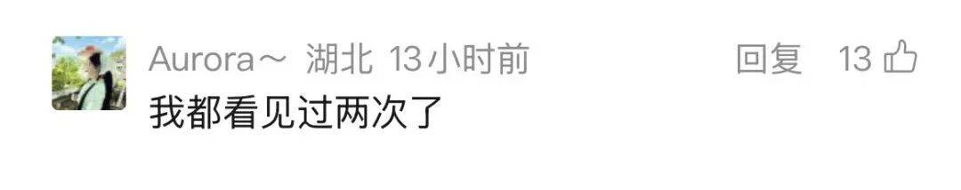 皇冠世界杯足球_武汉长江大桥下出现惊喜一幕皇冠世界杯足球，“一群江豚，大约持续10分钟”，海事人员：首次亲眼目睹